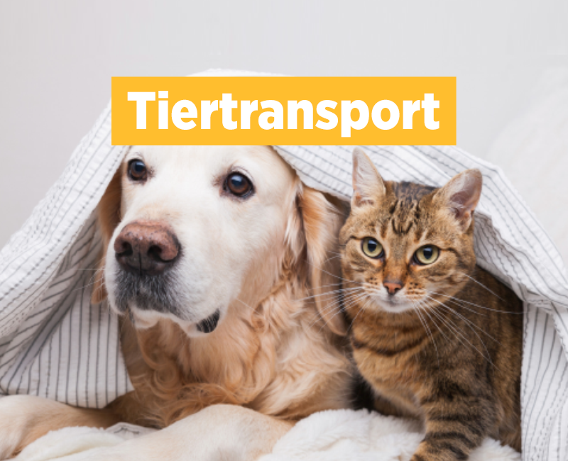 Tiertransport